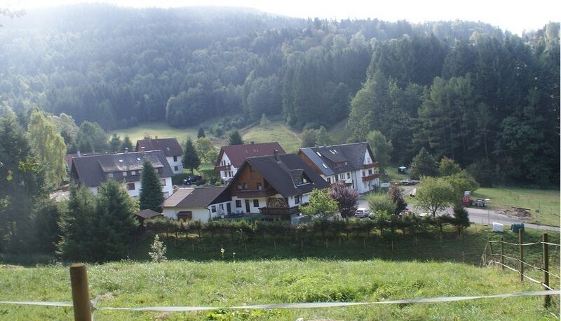 Datei:Wiese Oberes Gaistal.JPG