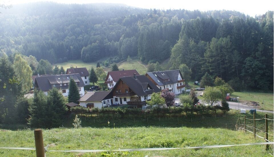 Datei:Wiese Oberes Gaistal.JPG