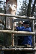 Holzschnitzer