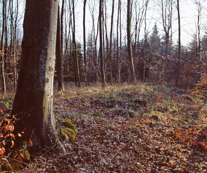 Datei:Mittelsberg1.jpg