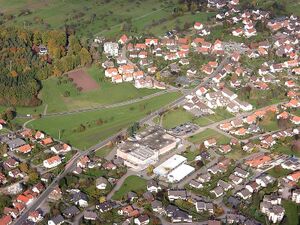 Schwann2.jpg