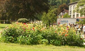 Dahlienbeet im Kurpark.JPG
