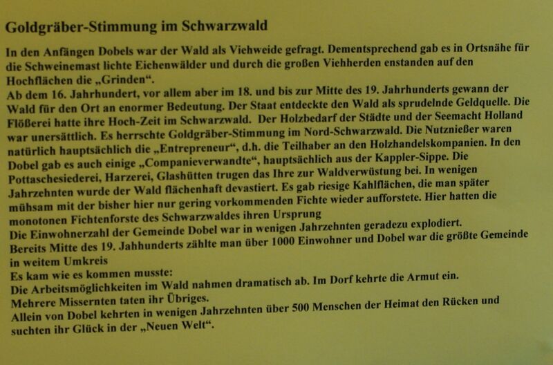 Datei:GoldgräberstimMung im Schwarzwald.jpg