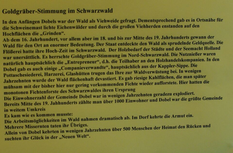 Datei:GoldgräberstimMung im Schwarzwald.jpg