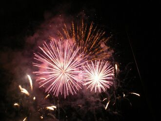 Feuerwerk1.jpg