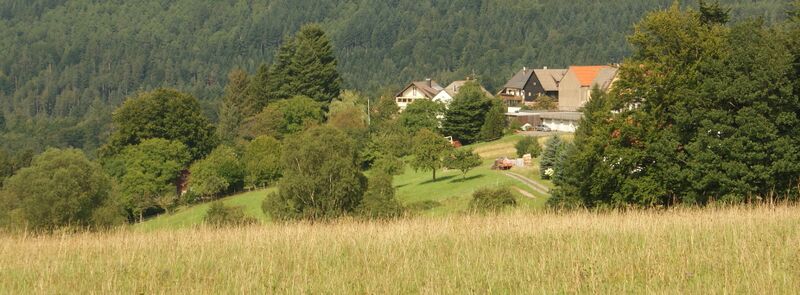 Datei:Blick übers Gaistal.JPG