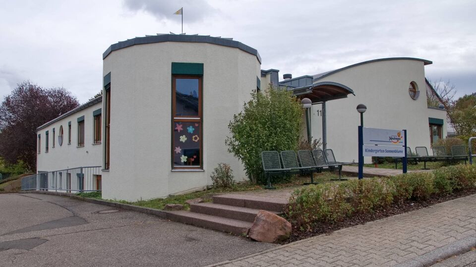 Datei:2026-10-09 Nussbaum Kindergarten Sonnenblume.jpg