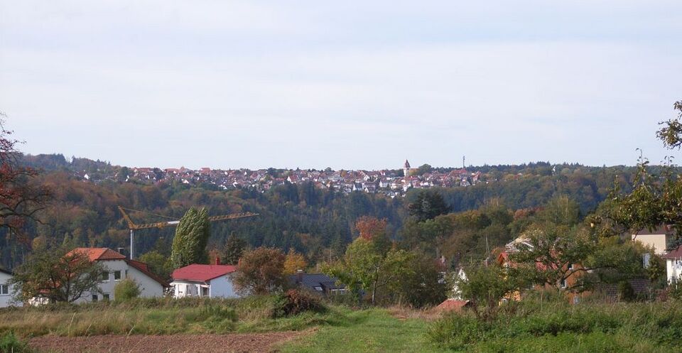 Datei:Buechenbronn.jpg