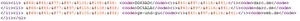 Quellcode-Vorlage-E-Mail.jpg
