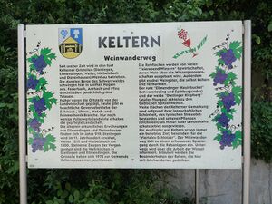 Ellmendingen-Wein-Wanderweg.jpg