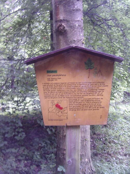 Datei:Arboretum-Tafel-.jpg