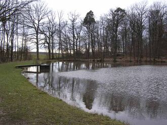 Reutsee01.jpg