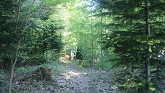 Naturpfad Rotenbach.JPG