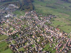 Schwann1.jpg