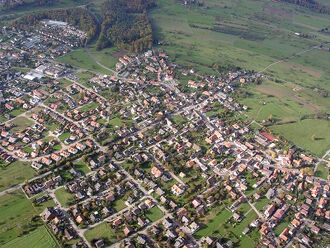 Schwann1.jpg
