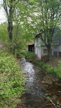 Enz in Höfen