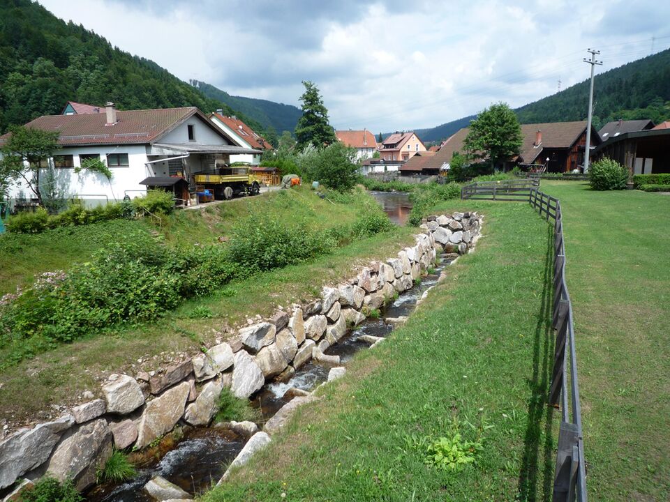Datei:Calmbach-Fischtreppe.jpg