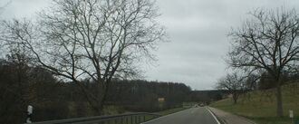 Straße nach Straubenhardt.JPG