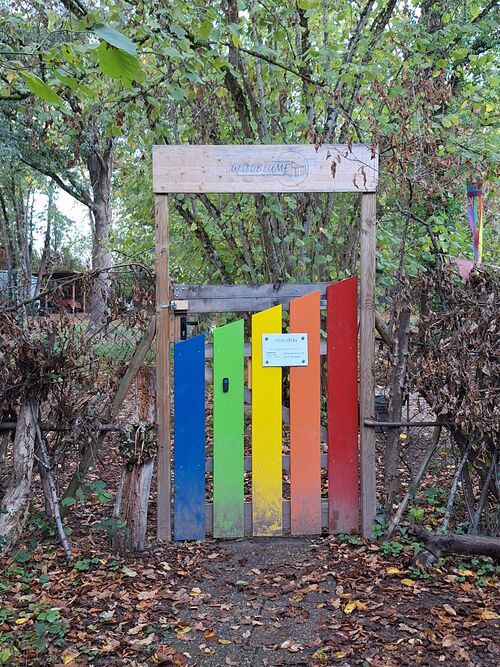 Datei:Wildblume Zirkuskindergarten.jpg