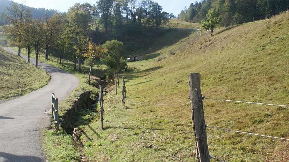 Datei:Wanderweg über Gewässer.JPG