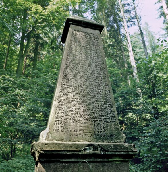 Datei:Kirnbachtal-Wellingtonienstein.jpg