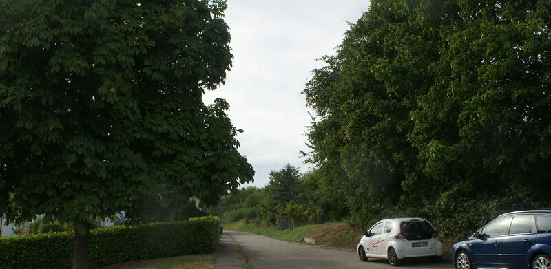 Datei:Straße vom Naturfreundehaus Römerberg.JPG