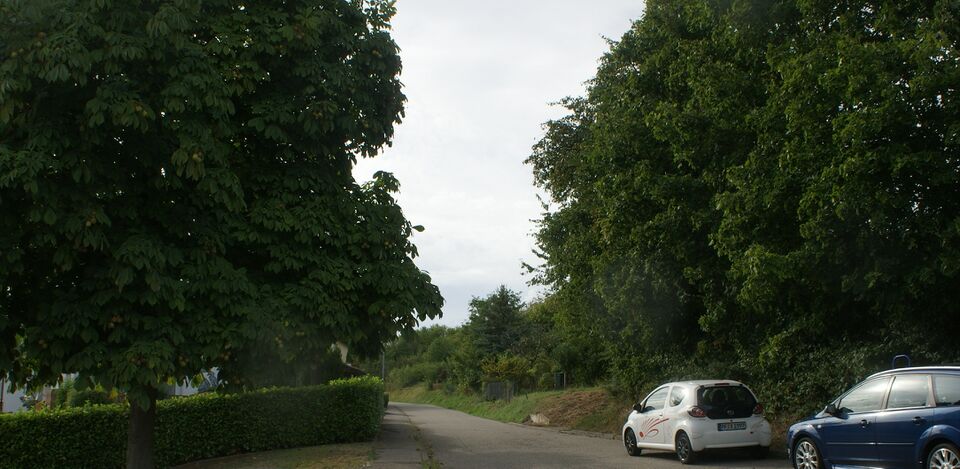 Datei:Straße vom Naturfreundehaus Römerberg.JPG