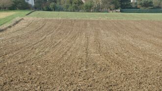 Landwirtschaft Ölbronn.jpg