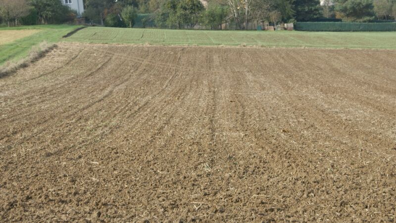 Datei:Landwirtschaft Ölbronn.jpg