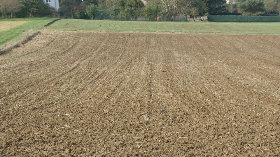 Datei:Landwirtschaft Ölbronn.jpg
