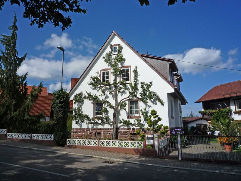 Datei:Schellbronn-Spalierbaum.jpg