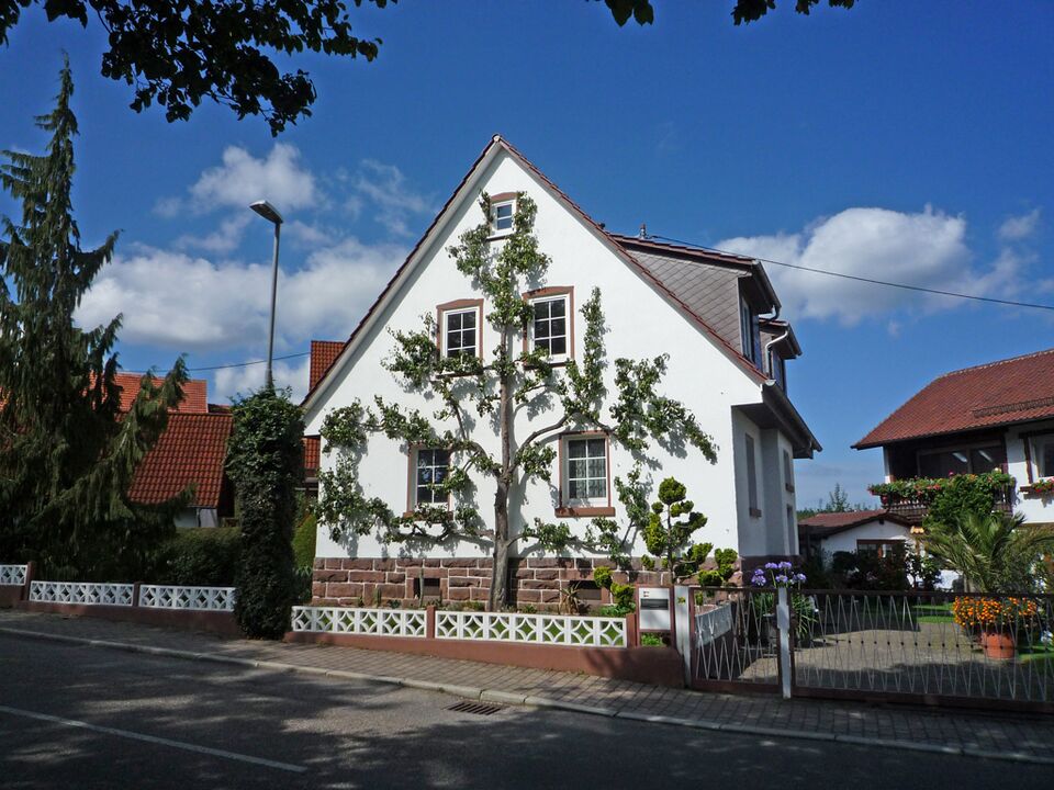 Datei:Schellbronn-Spalierbaum.jpg