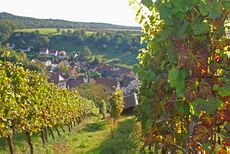 Sternenfels