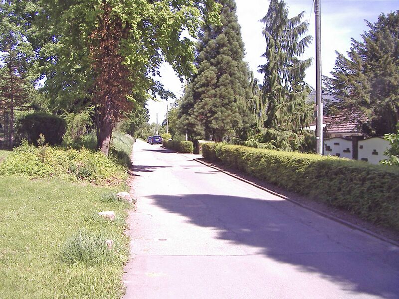 Datei:KarlBuehrerStrasse.jpg