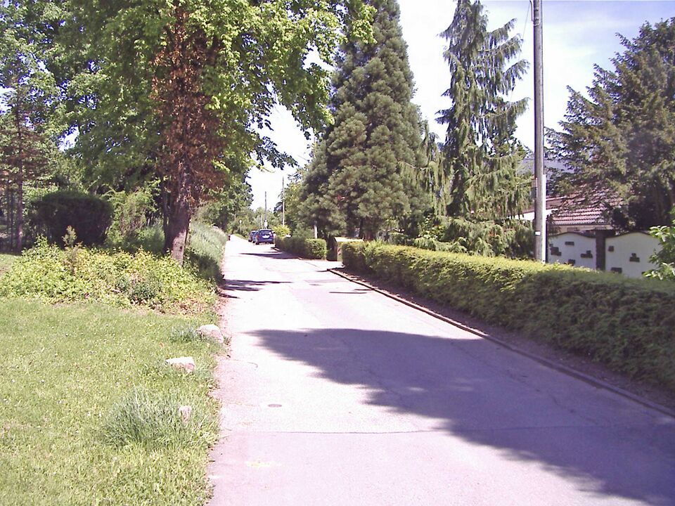 Datei:KarlBuehrerStrasse.jpg