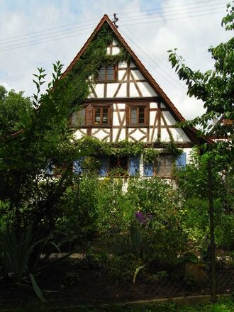 Trais02.jpg