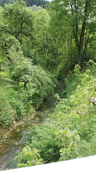 Datei:Rötelbach bei Kentheim.JPG