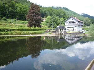 Calmbach-Wehr4.jpg
