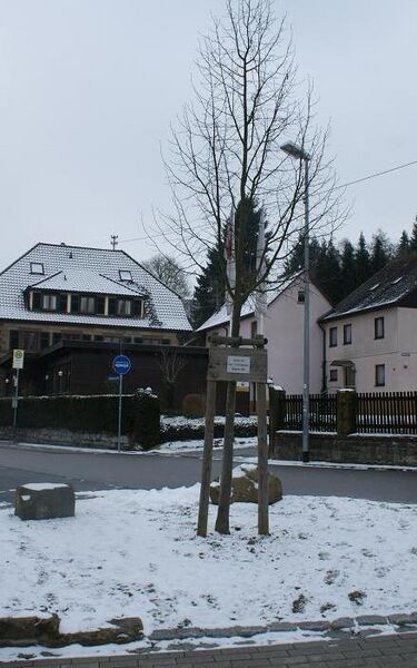 Datei:Kreisel Bahnhof Frankfurter.jpg