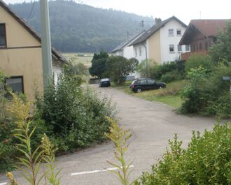 Straße zur Alb.JPG