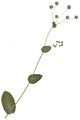 Vorschaubild der Version vom 21:44, 28. Nov. 2020