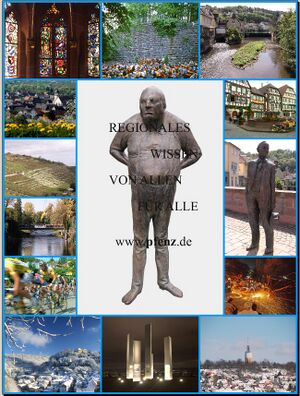 Pfenz-plakat-2008.jpg