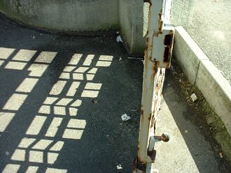 Daub-tor1.jpg