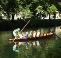 Stocherkahnfahren auf der Nagold