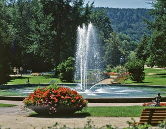 Stadtgarten Fontäne-.jpg
