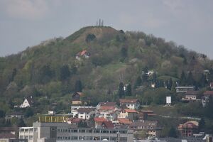 4496 Wallberg.jpg