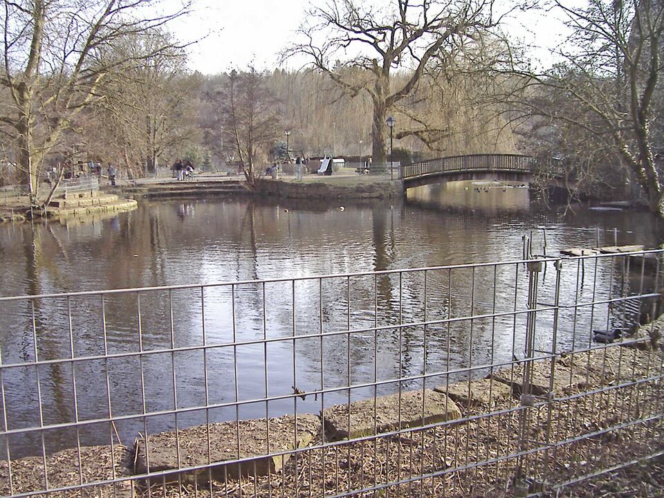 Datei:Mühlkanal Teich.jpg