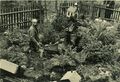 H.Balb bei der Pflege der Miniaturlandschaft