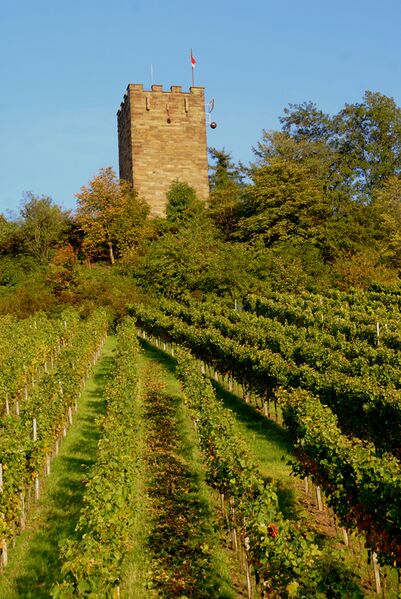 Datei:Schlossbergturm-Sternenfels.jpg