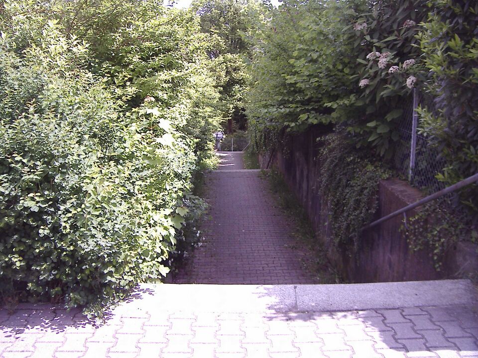 Datei:Nuitsstrasse1.jpg